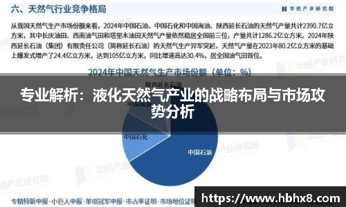 专业解析：液化天然气产业的战略布局与市场攻势分析